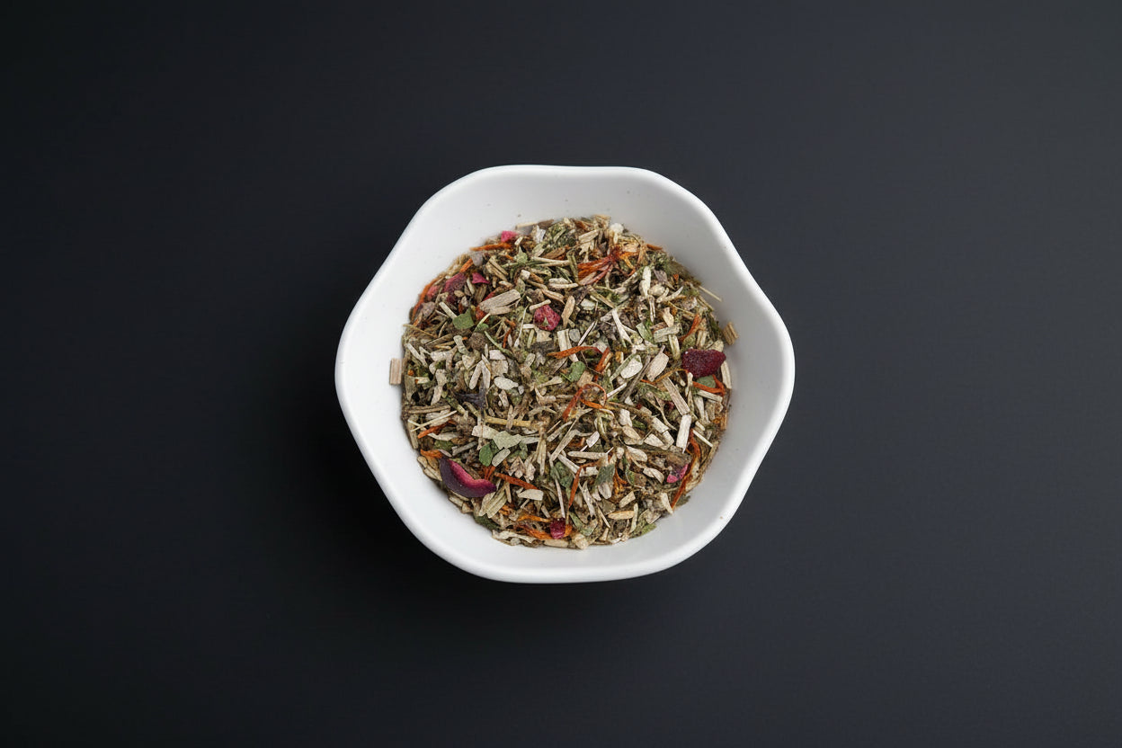 Cranberry Echinacea Fall2026